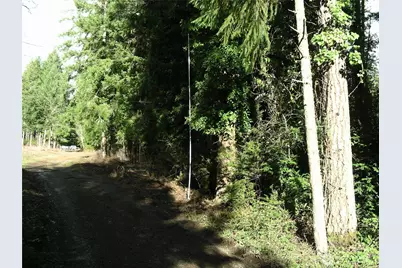 0 E Murray Road S, Grapeview, WA 98546 - Photo 5