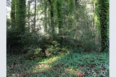 0 E Murray Road S, Grapeview, WA 98546 - Photo 3