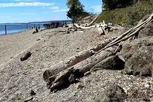 16017 72nd St SW, Longbranch, WA 98351 - Photo 33