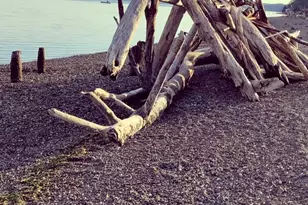 16017 72nd St SW, Longbranch, WA 98351 - Photo 35