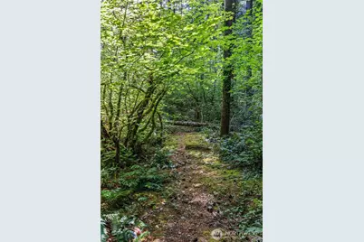 4027 Dent Road SW, Olympia, WA 98512 - Photo 13