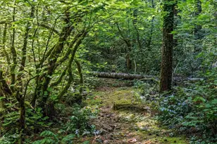 4027 Dent Rd SW, Olympia, WA 98512 - Photo 13