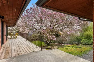 6531 Seward Park (Not On Arterial) Ave S, Seattle, WA 98118 - Photo 31