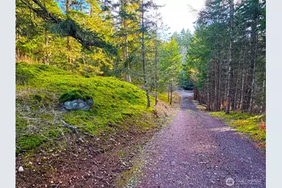 705 Mt Dallas Road, Friday Harbor, WA 98250 - Photo 9