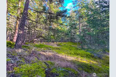 705 Mt Dallas Road, Friday Harbor, WA 98250 - Photo 13