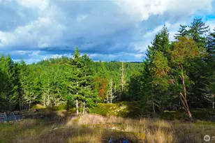 705 Mt Dallas Rd, Friday Harbor, WA 98250 - Photo 1