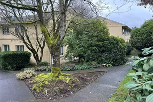 4717 Terrace Dr NE, Seattle, WA 98105 - Photo 3