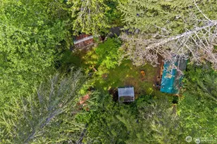 137 Paradise Dr, Ashford, WA 98304 - Photo 19