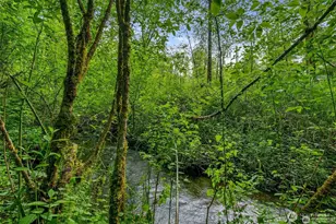 137 Paradise Dr, Ashford, WA 98304 - Photo 11