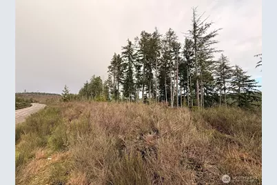 1 Xx West California Road, Shelton, WA 98584 - Photo 5