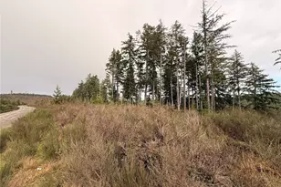 1 Xx West California Rd, Shelton, WA 98584 - Photo 5