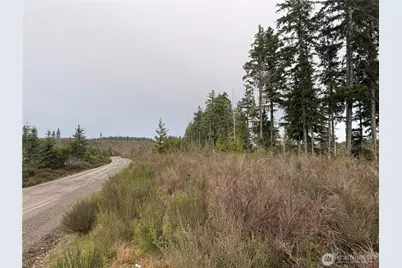 1 Xx West California Road, Shelton, WA 98584 - Photo 11