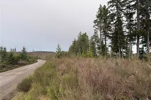 1 Xx West California Rd, Shelton, WA 98584 - Photo 11