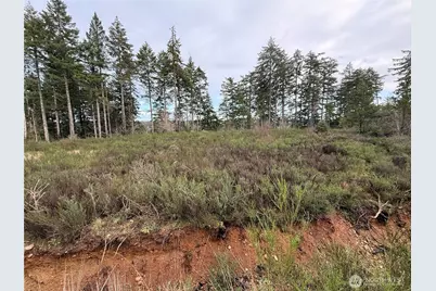 1 Xx West California Road, Shelton, WA 98584 - Photo 3