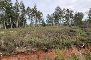 1 Xx West California Rd, Shelton, WA 98584 - Photo 3