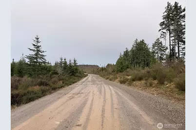 1 Xx West California Road, Shelton, WA 98584 - Photo 1