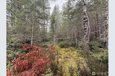 10 Xx E Shetland Road, Shelton, WA 98584 - Photo 15