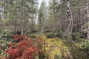 10 Xx E Shetland Rd, Shelton, WA 98584 - Photo 15