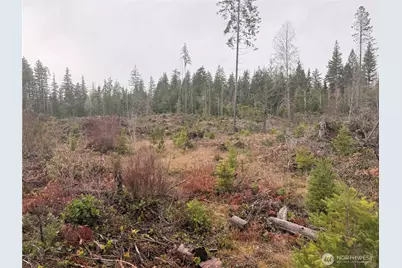 10 Xx E Shetland Road, Shelton, WA 98584 - Photo 3