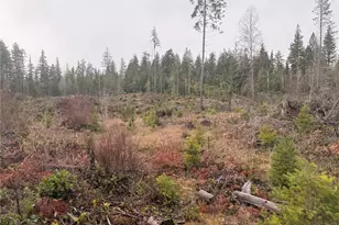 10 Xx E Shetland Rd, Shelton, WA 98584 - Photo 3