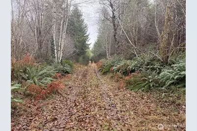 10 Xx E Shetland Road, Shelton, WA 98584 - Photo 13