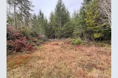 10 Xx E Shetland Road, Shelton, WA 98584 - Photo 3