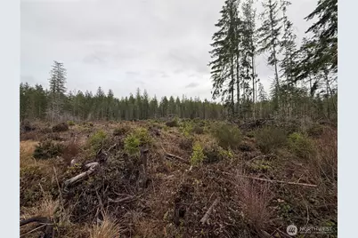 10 Xx E Shetland Road, Shelton, WA 98584 - Photo 11