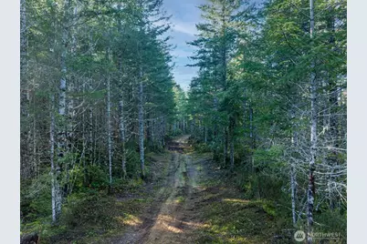 10 Xx E Shetland Road, Shelton, WA 98584 - Photo 7