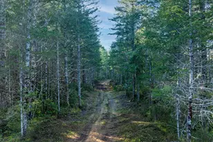 10 Xx E Shetland Rd, Shelton, WA 98584 - Photo 7