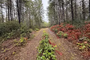 10 Xx E Shetland Rd, Shelton, WA 98584 - Photo 1