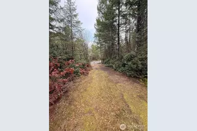 10 Xx E Shetland Road, Shelton, WA 98584 - Photo 9