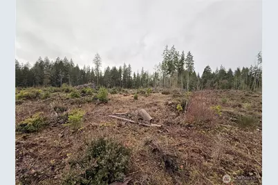 10 Xx E Shetland Road, Shelton, WA 98584 - Photo 11