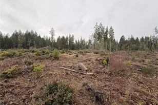 10 Xx E Shetland Rd, Shelton, WA 98584 - Photo 11