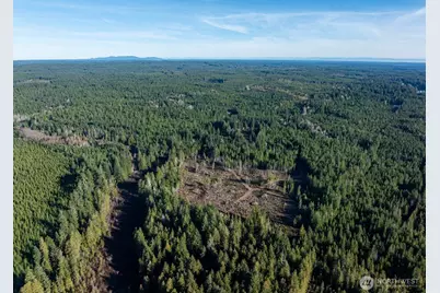 10 Xx E Shetland Road, Shelton, WA 98584 - Photo 17