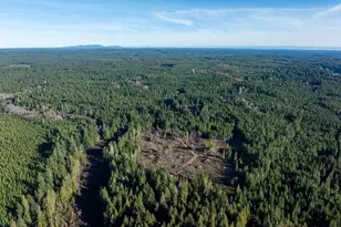 10 Xx E Shetland Rd, Shelton, WA 98584 - Photo 17