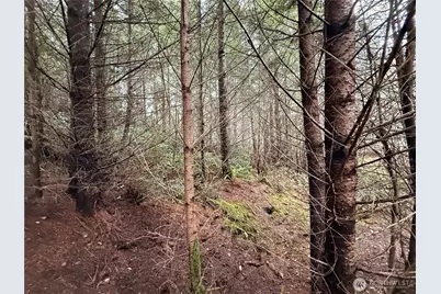 10 Xx E Shetland Road, Shelton, WA 98584 - Photo 7