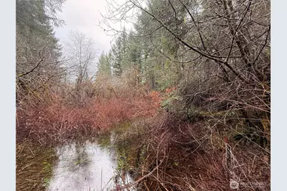 10 Xx E Shetland Road, Shelton, WA 98584 - Photo 9