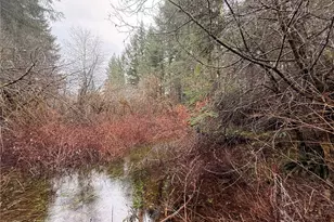 10 Xx E Shetland Rd, Shelton, WA 98584 - Photo 9