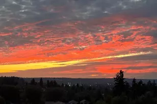 1320 34th St SE, Puyallup, WA 98372 - Photo 39