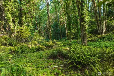 9011 Dana Drive NW, Gig Harbor, WA 98332 - Photo 15