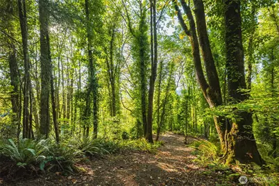 9011 Dana Drive NW, Gig Harbor, WA 98332 - Photo 13