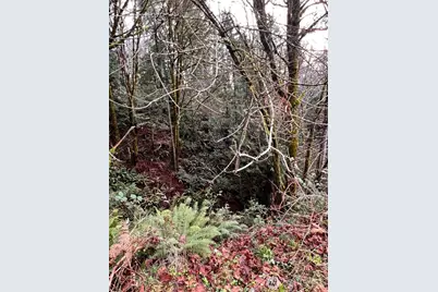 453 E Victor Road, Belfair, WA 98528 - Photo 7