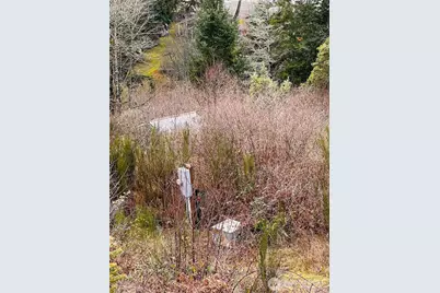 3841 E State Route 302, Belfair, WA 98528 - Photo 3