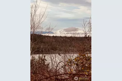 3841 E State Route 302, Belfair, WA 98528 - Photo 5