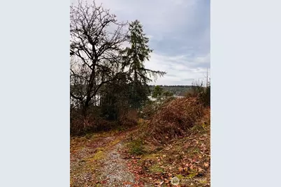 3841 E State Route 302, Belfair, WA 98528 - Photo 9