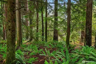 32218 NE 193rd St, Duvall, WA 98019 - Photo 27