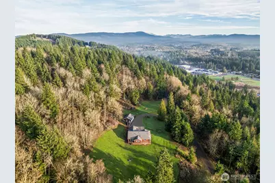 303 Shadow Mt Road, Silverlake, WA 98645 - Photo 25