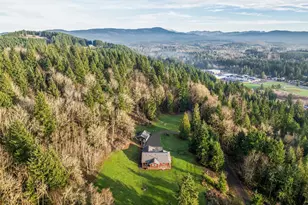 303 Shadow Mt Rd, Silverlake, WA 98645 - Photo 25