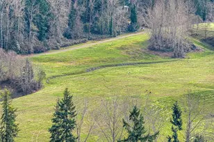 6703 119th Ave NE, Kirkland, WA 98033 - Photo 37