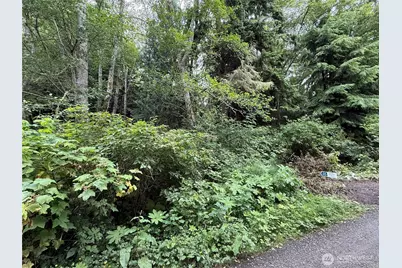 0 Hill Street, Port Ludlow, WA 98365 - Photo 3